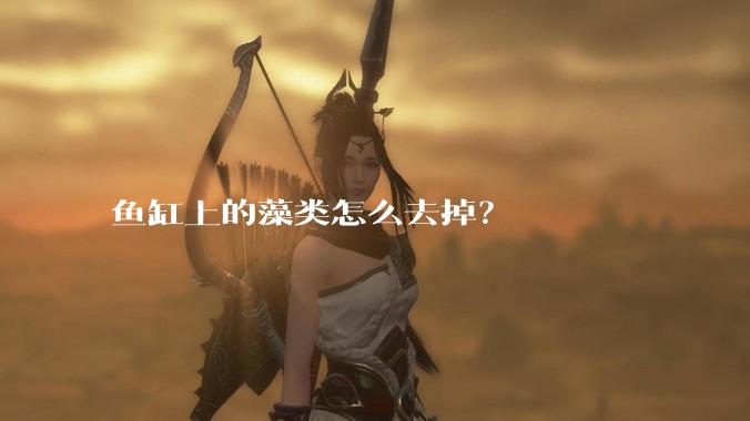 鱼缸上的藻类怎么去掉？